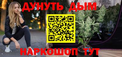 шишки Бийск