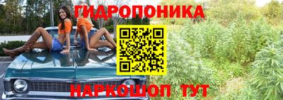 индика Беслан