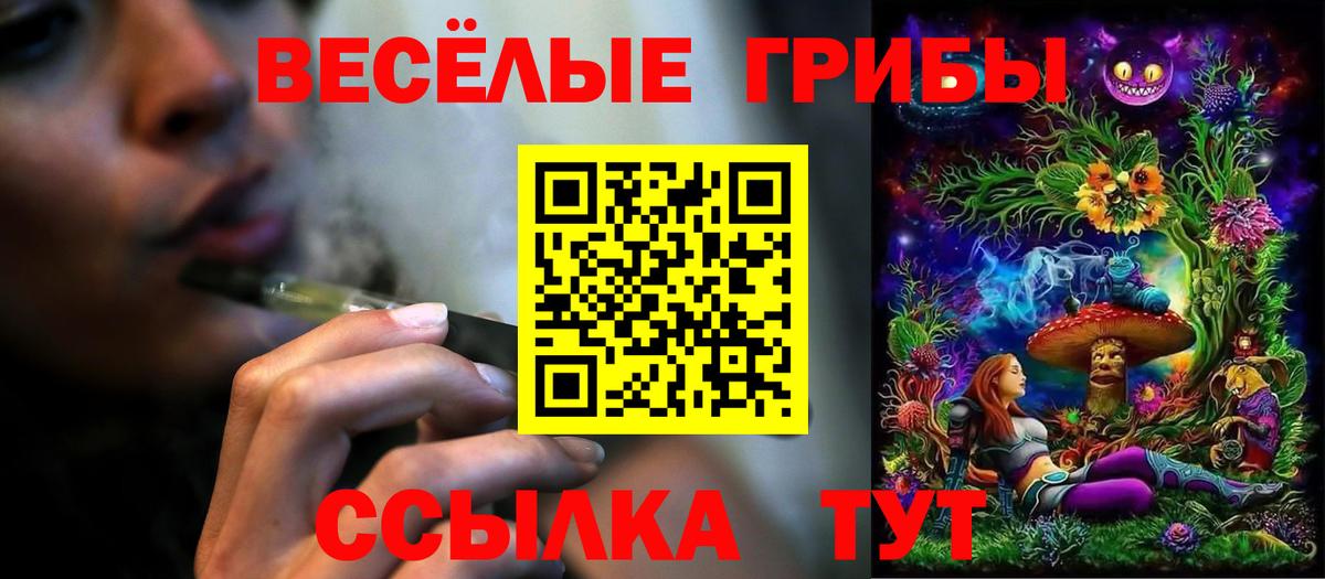 Псилоцибиновые грибы прущие грибы  Вход с VPN  Ишимбай 